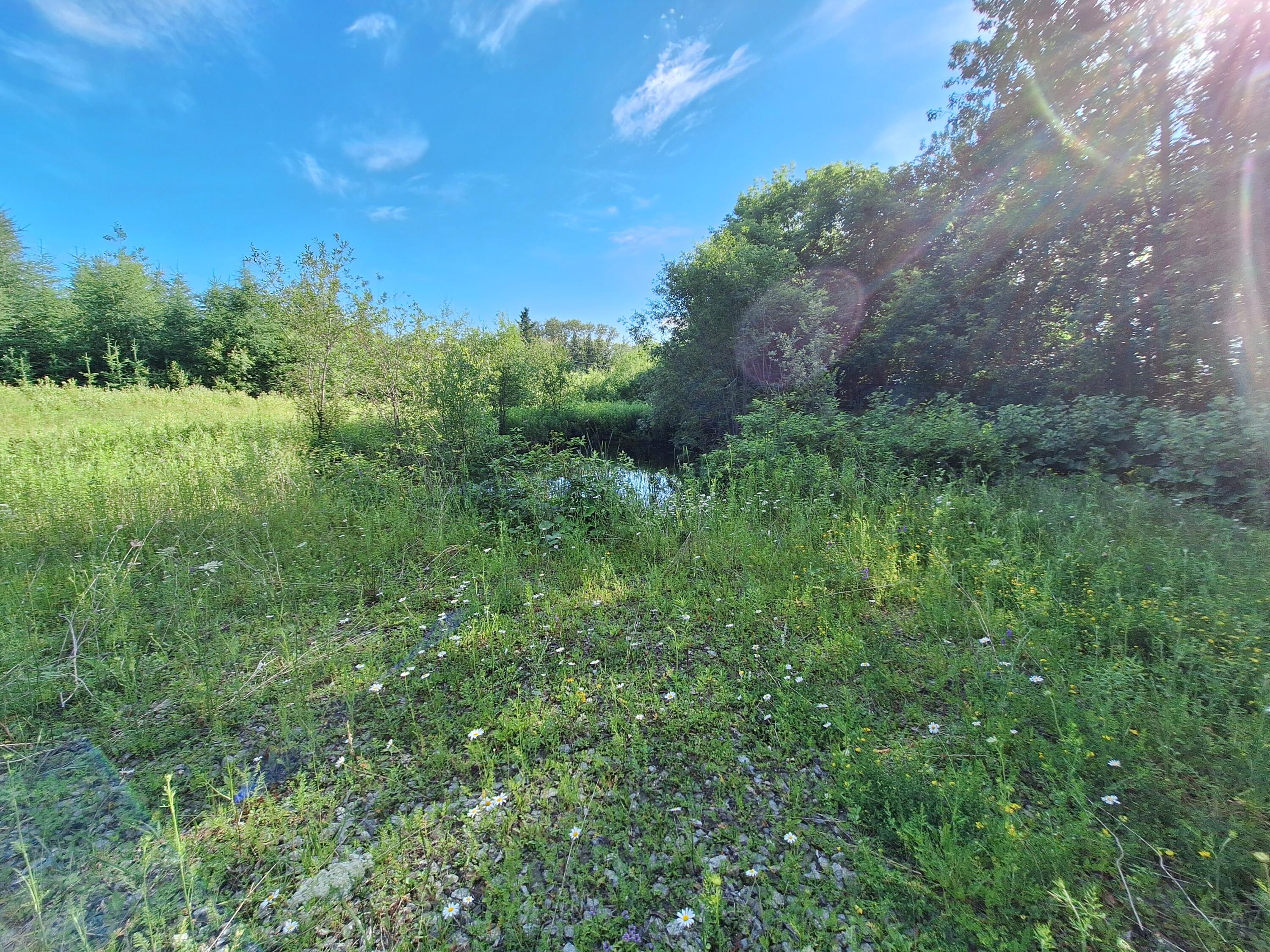 Lot 36-d Grimes Road Caribou ME 04736