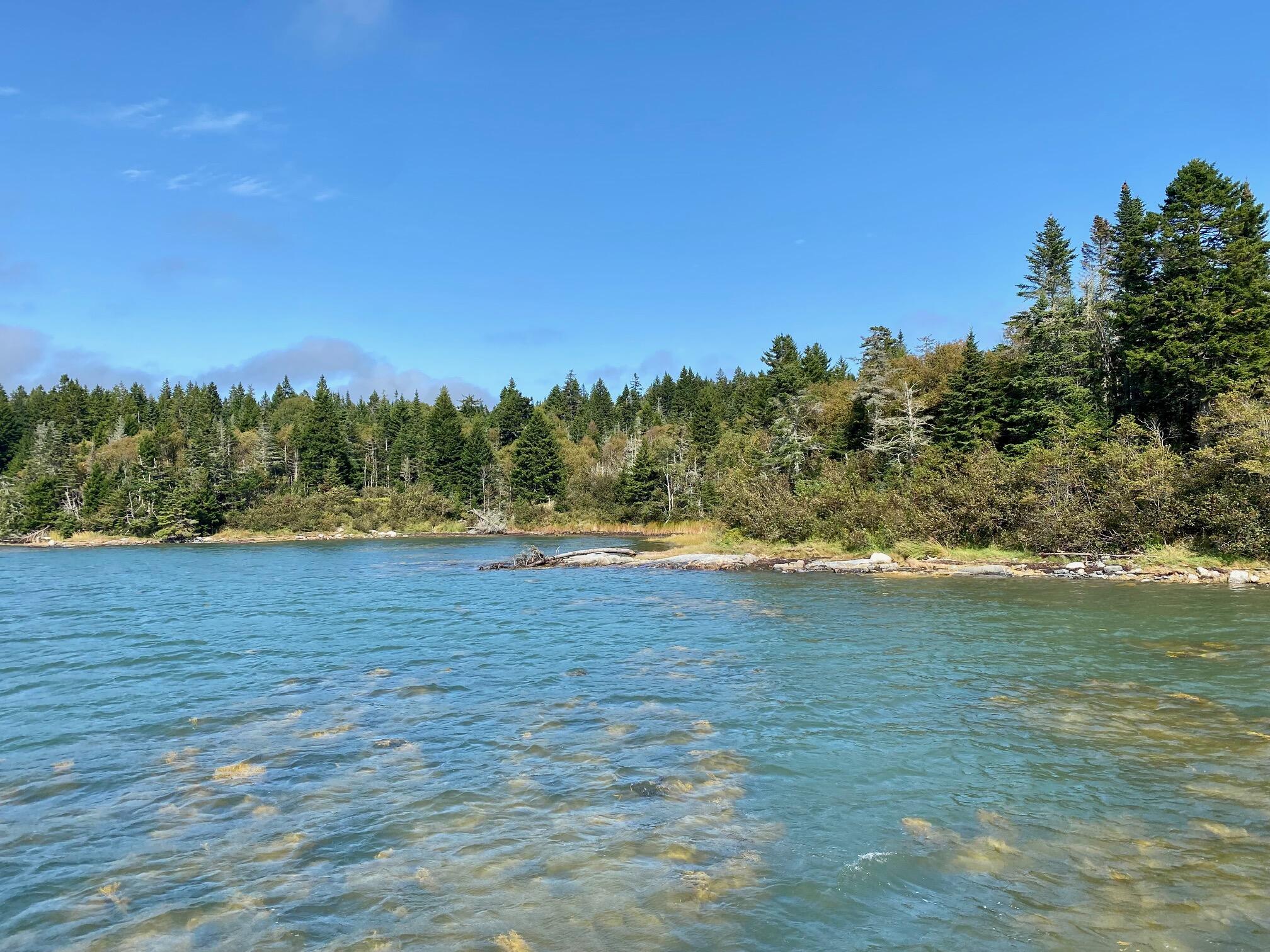 Lot 20-5-1 Collins Cove Road Machiasport ME 04655