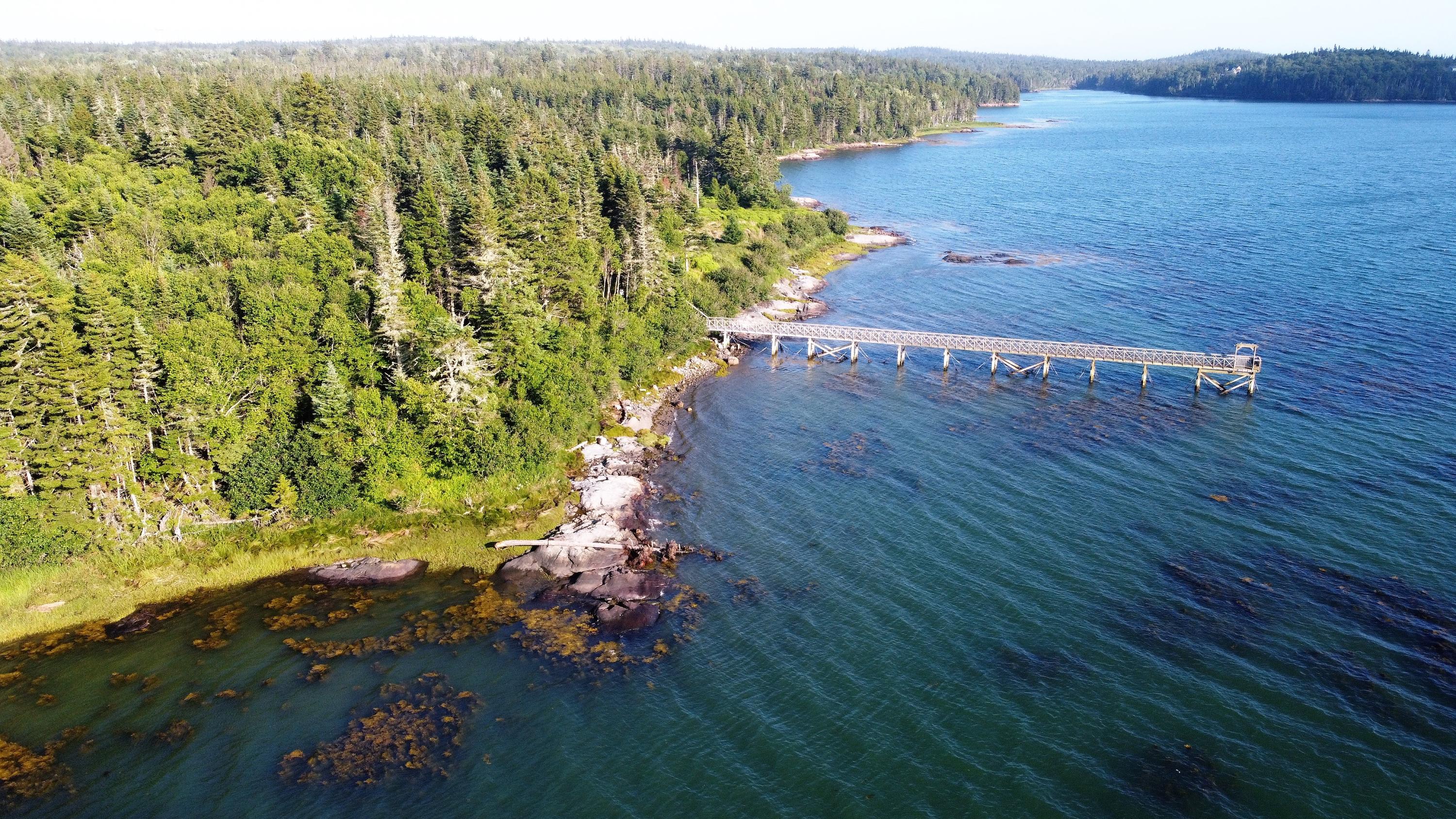 Lot 20-5-1 Collins Cove Road Machiasport ME 04655