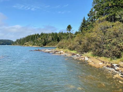 Lot 20-5-1 Collins Cove Road Machiasport ME 04655