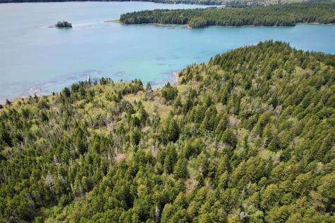 Lot 20-5-1 Collins Cove Road Machiasport ME 04655