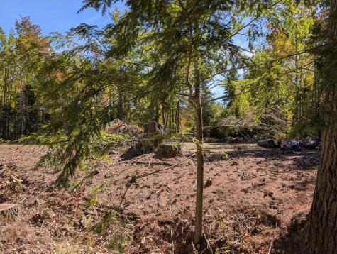 MR11 Lot40 Yeaton Swamp Road Oxford ME 04270