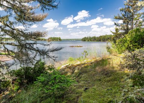 Lot 4 Belle Grande Drive Bar Harbor ME 04609