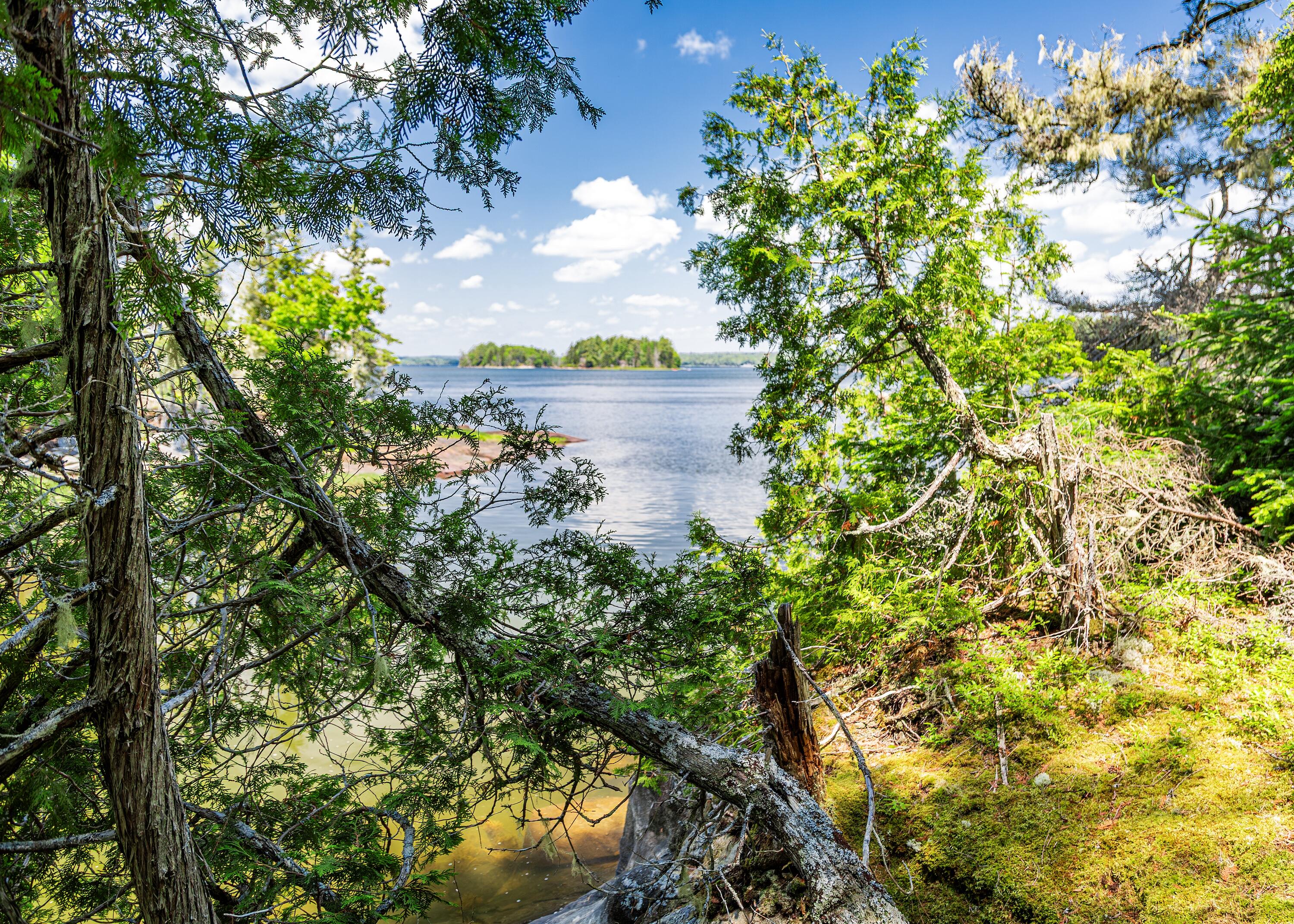 Lot 4 Belle Grande Drive Bar Harbor ME 04609