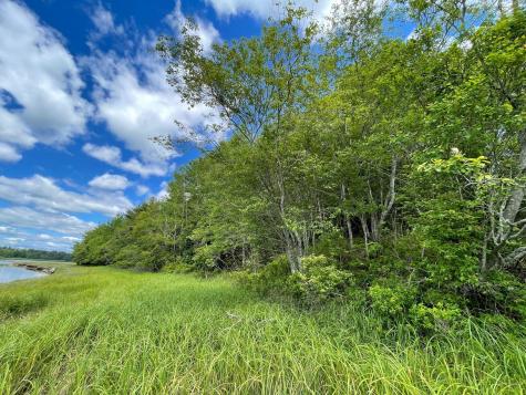 Lot #118 Kansas Road Milbridge ME 04658