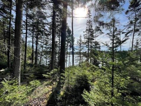 Lot 42-2 Blue Heron Way Milbridge ME 04658