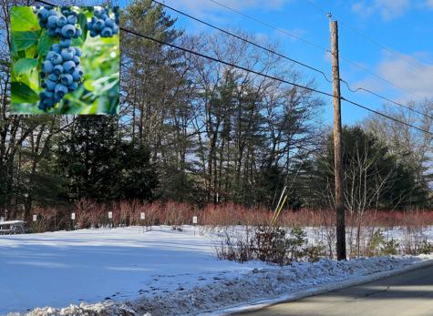 Tbd East River Road Skowhegan ME 04976