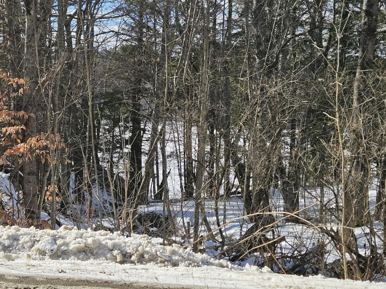Tbd East River Road Skowhegan ME 04976