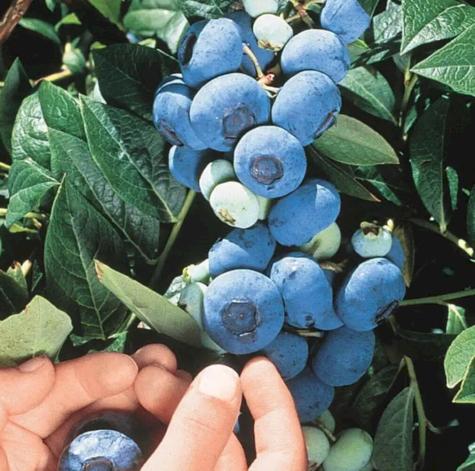 Tbd East River Road Skowhegan ME 04976