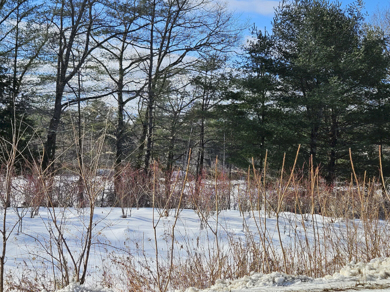 Tbd East River Road Skowhegan ME 04976