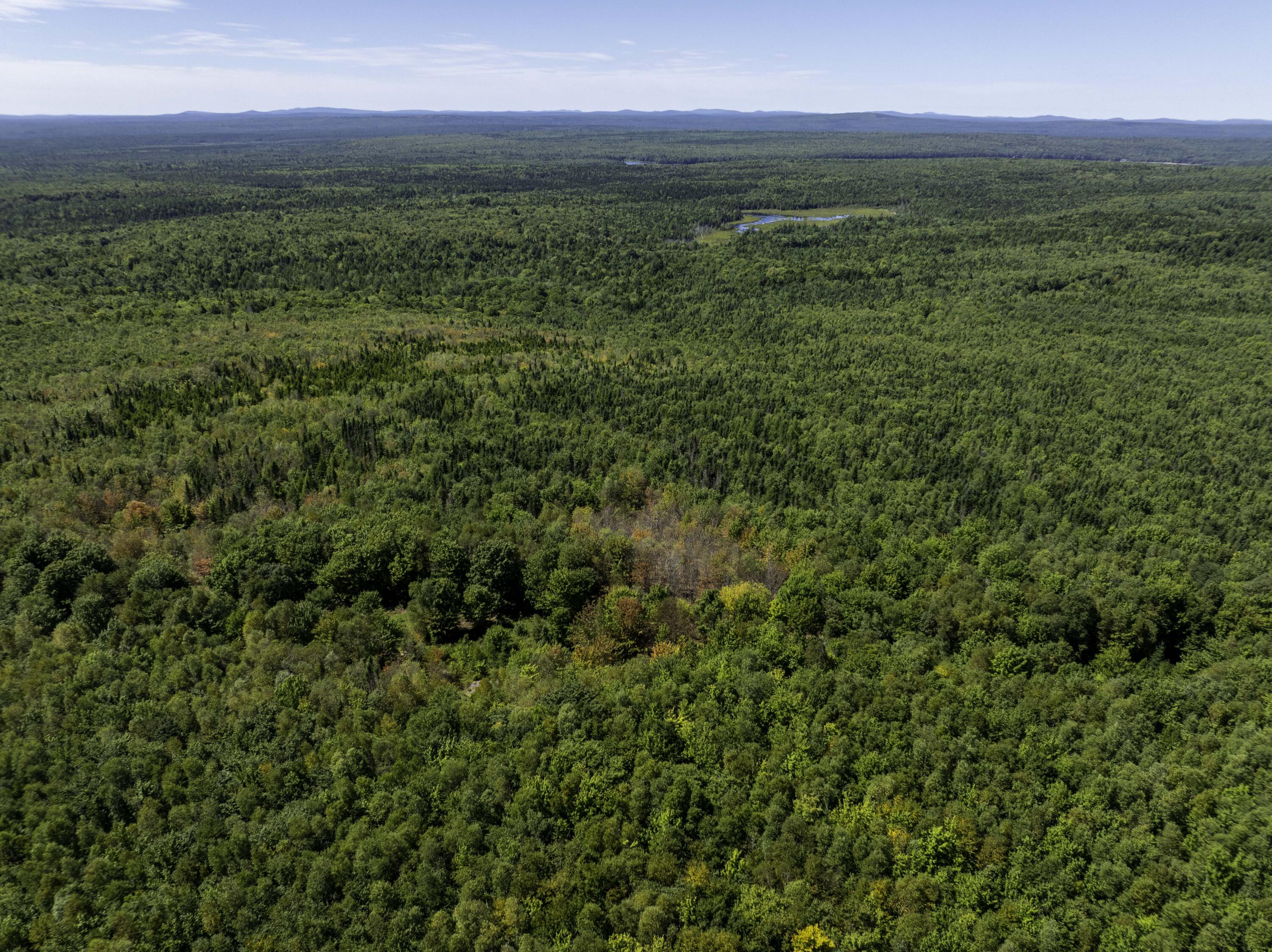 M7 L19 Old Crawford Road Cooper ME 04657