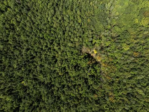 M7 L19 Old Crawford Road Cooper ME 04657