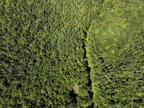 M7 L19 Old Crawford Road Cooper ME 04657