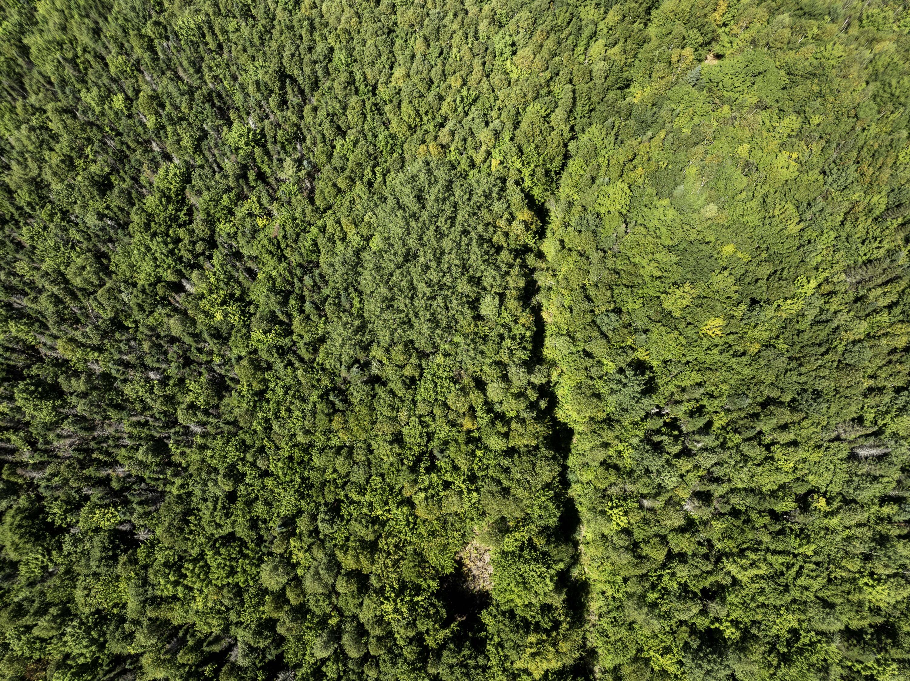 M7 L19 Old Crawford Road Cooper ME 04657