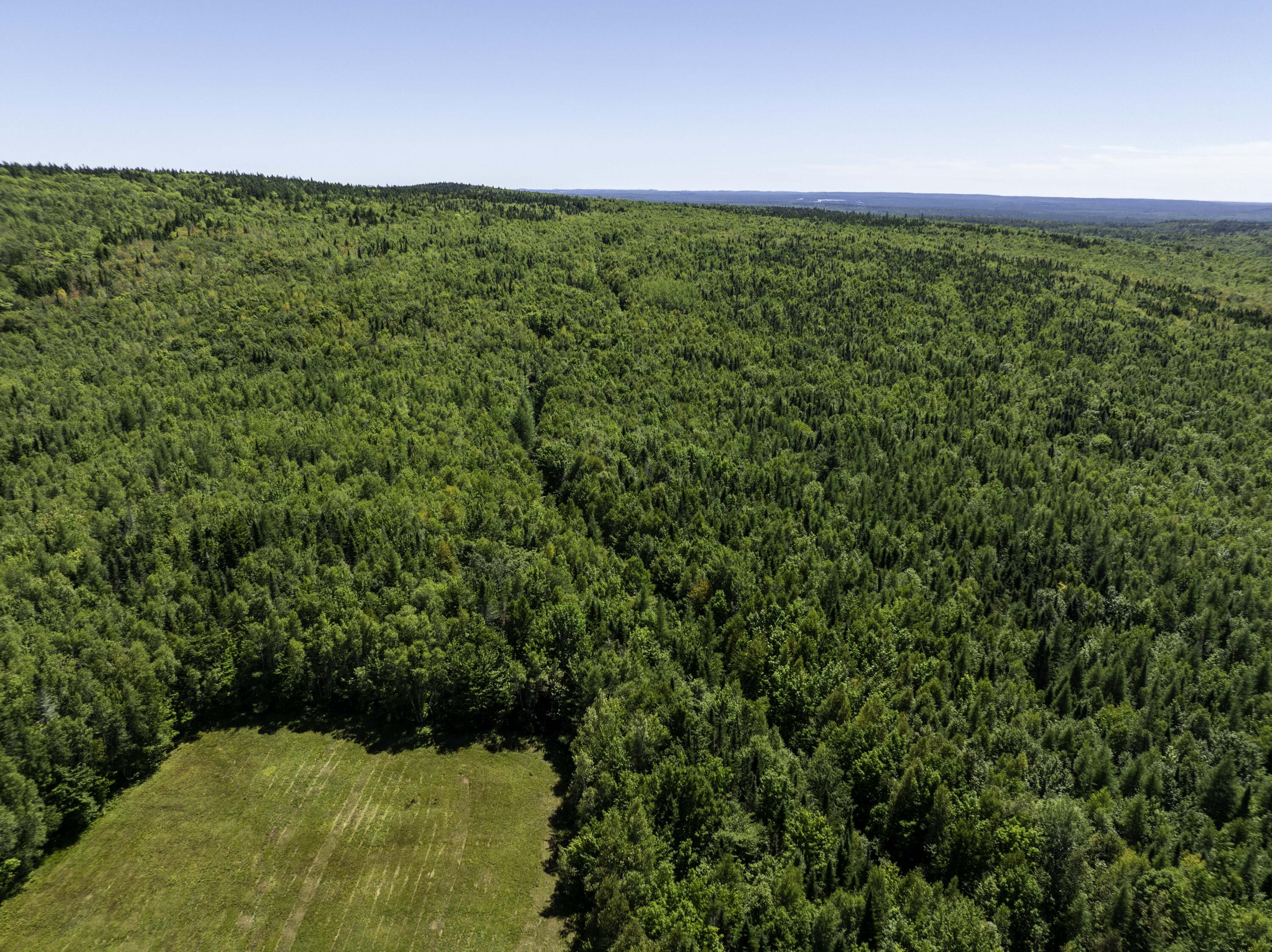 M7 L19 Old Crawford Road Cooper ME 04657