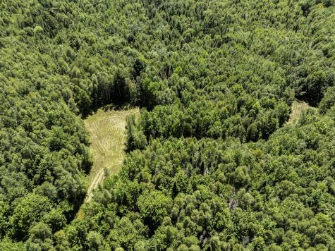 M7 L19 Old Crawford Road Cooper ME 04657