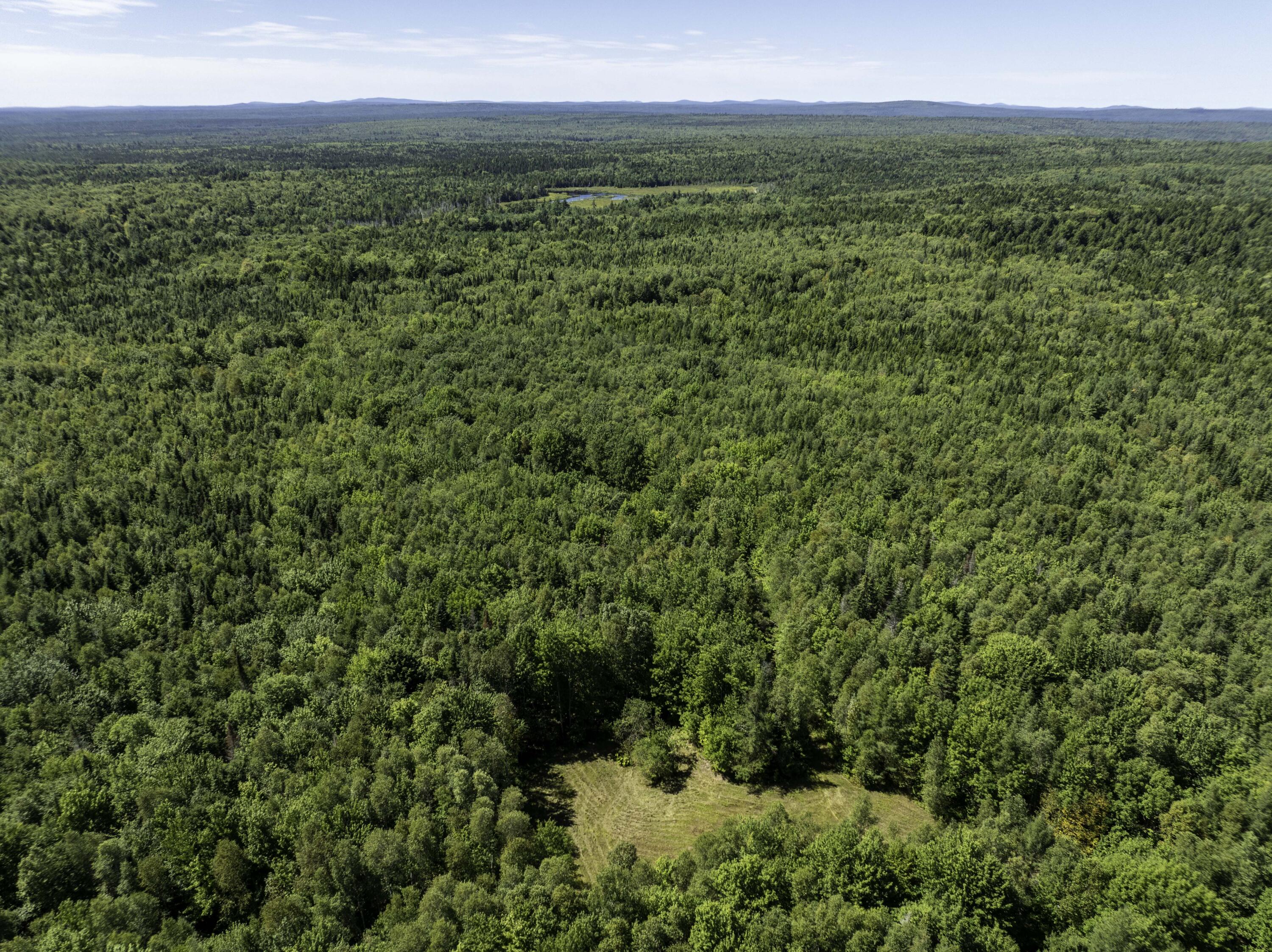 M7 L19 Old Crawford Road Cooper ME 04657