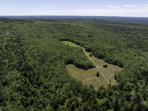 M7 L19 Old Crawford Road Cooper ME 04657