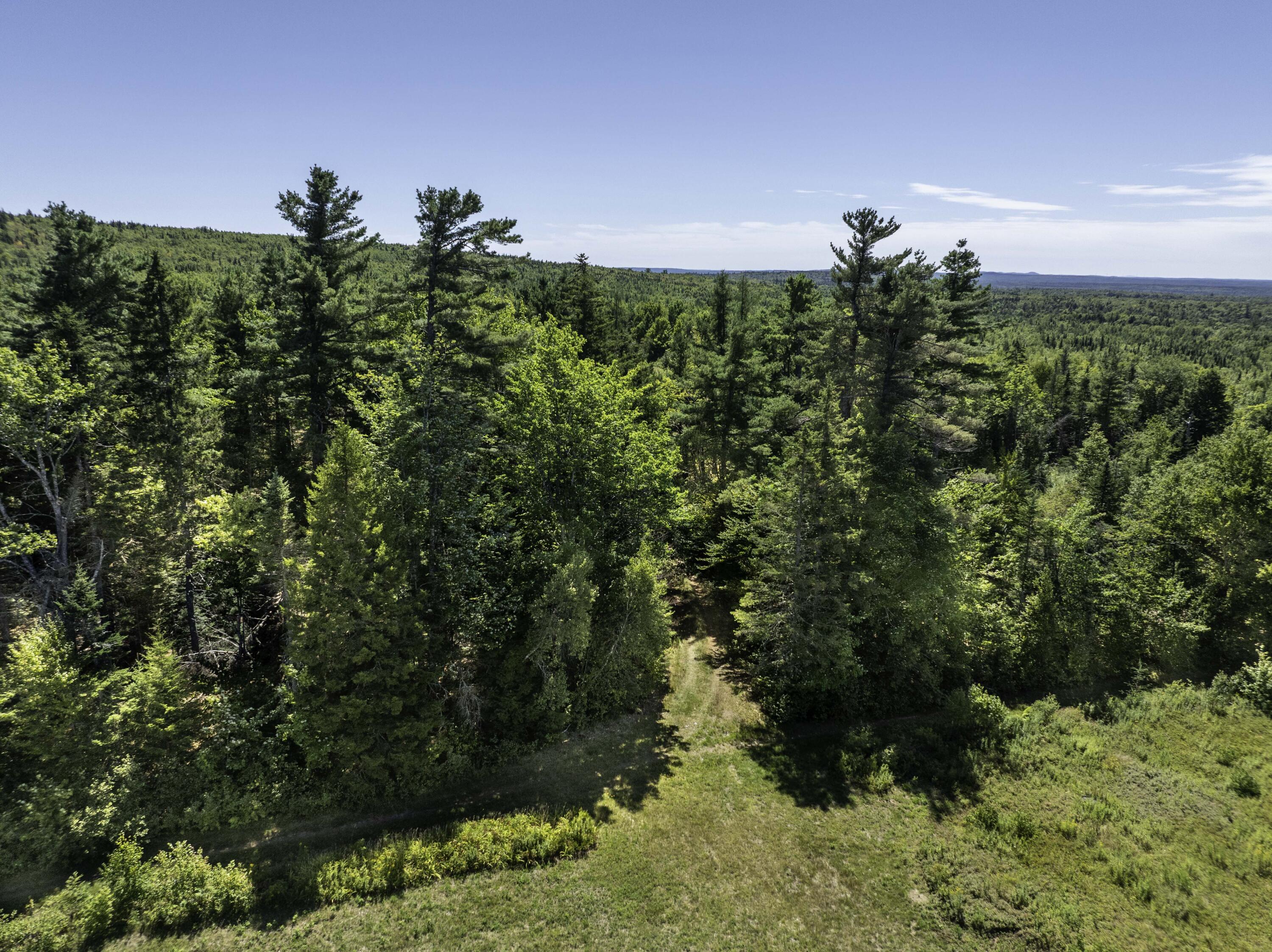 M7 L19 Old Crawford Road Cooper ME 04657