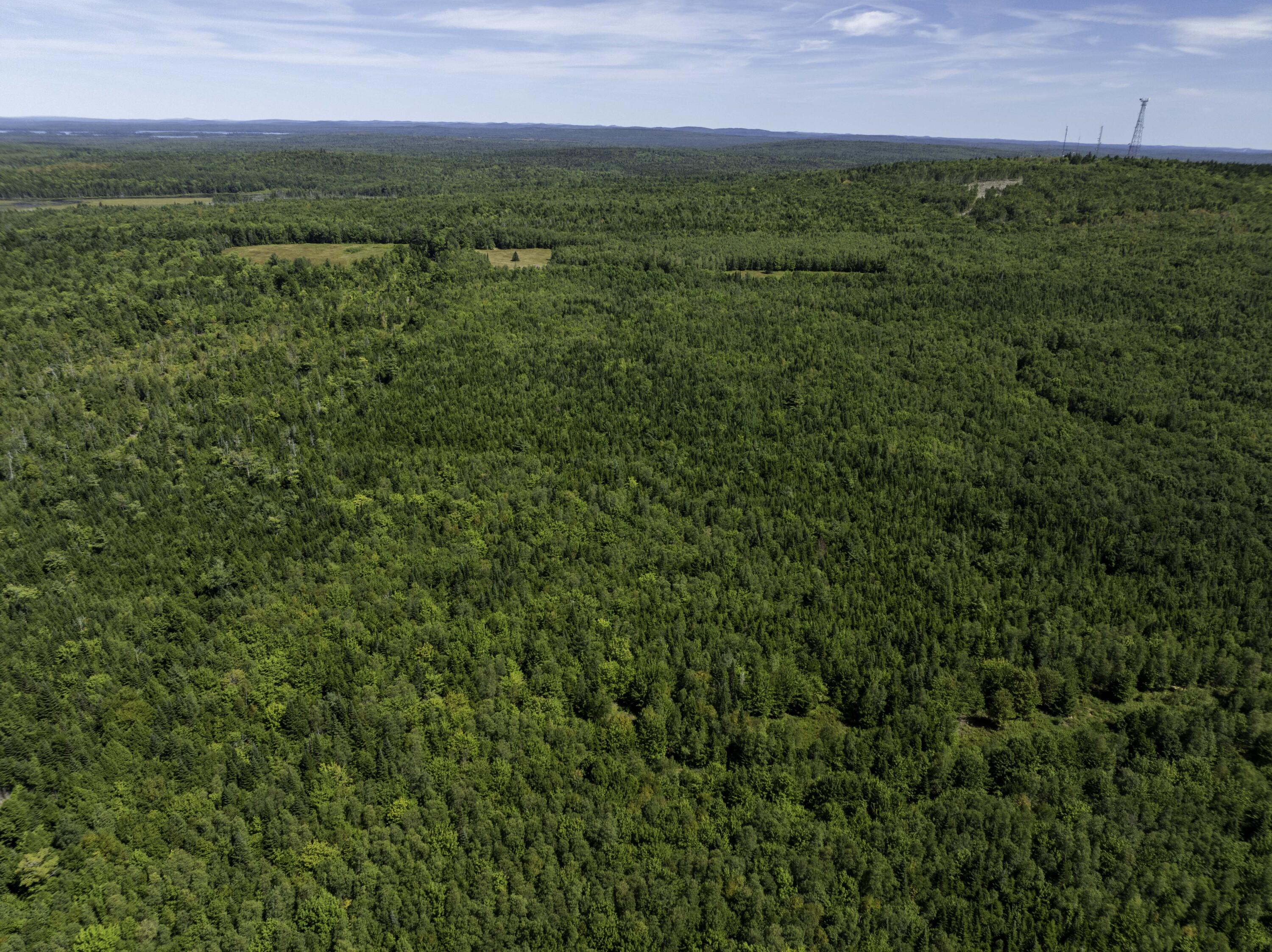 M7 L19 Old Crawford Road Cooper ME 04657