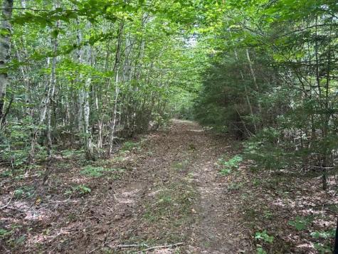 M7 L19 Old Crawford Road Cooper ME 04657