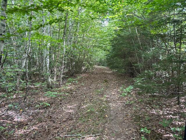 M7 L19 Old Crawford Road Cooper ME 04657