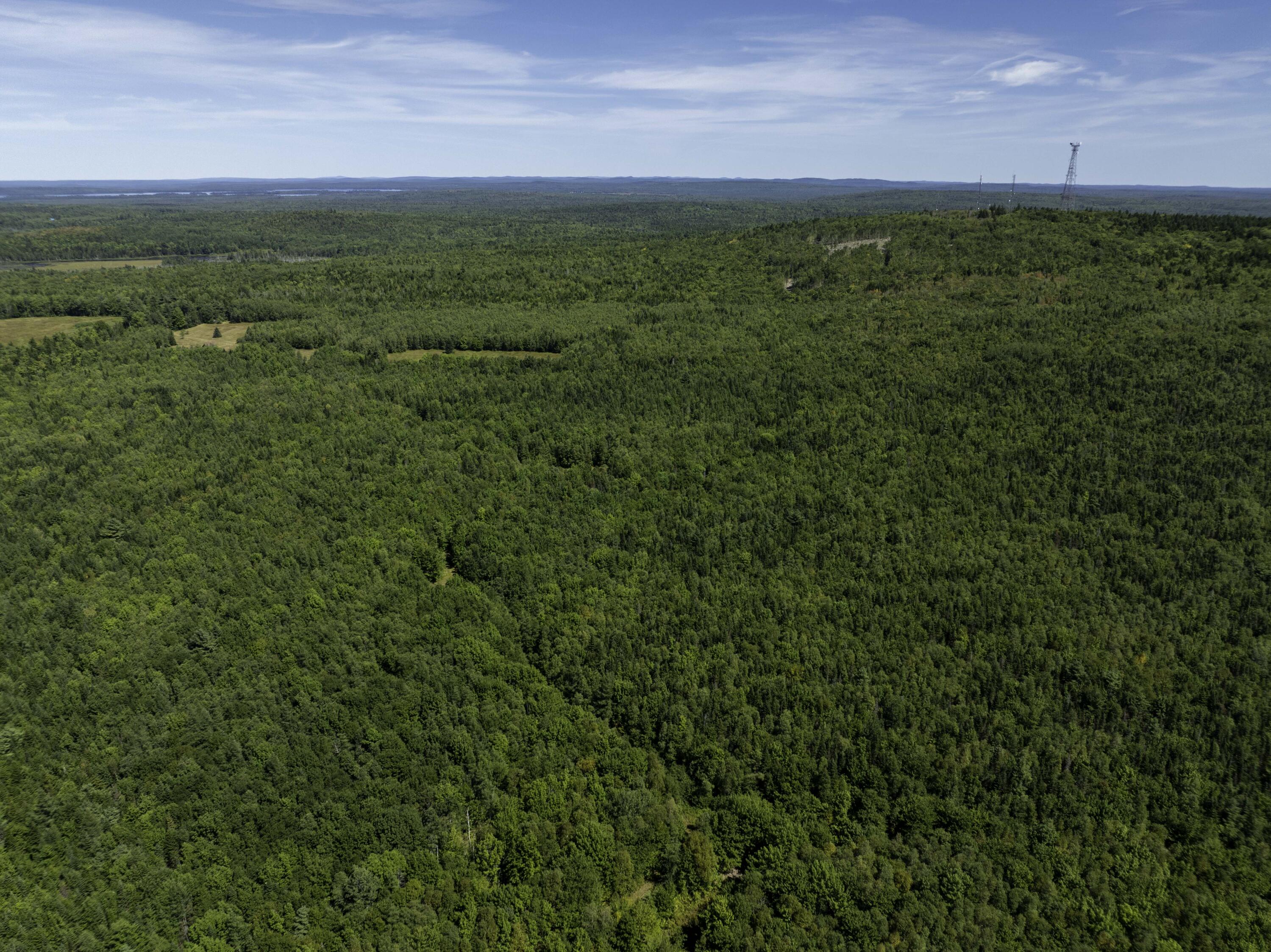 M7 L19 Old Crawford Road Cooper ME 04657