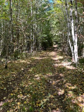 M7 L19 Old Crawford Road Cooper ME 04657