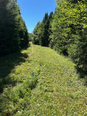 M7 L19 Old Crawford Road Cooper ME 04657