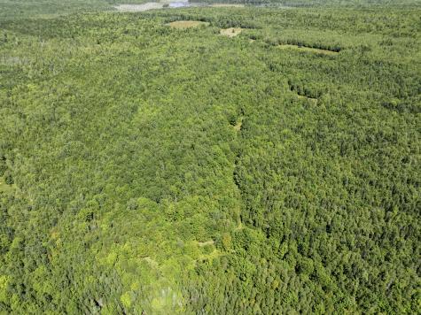 M7 L19 Old Crawford Road Cooper ME 04657