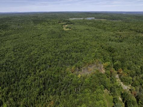 M7 L19 Old Crawford Road Cooper ME 04657