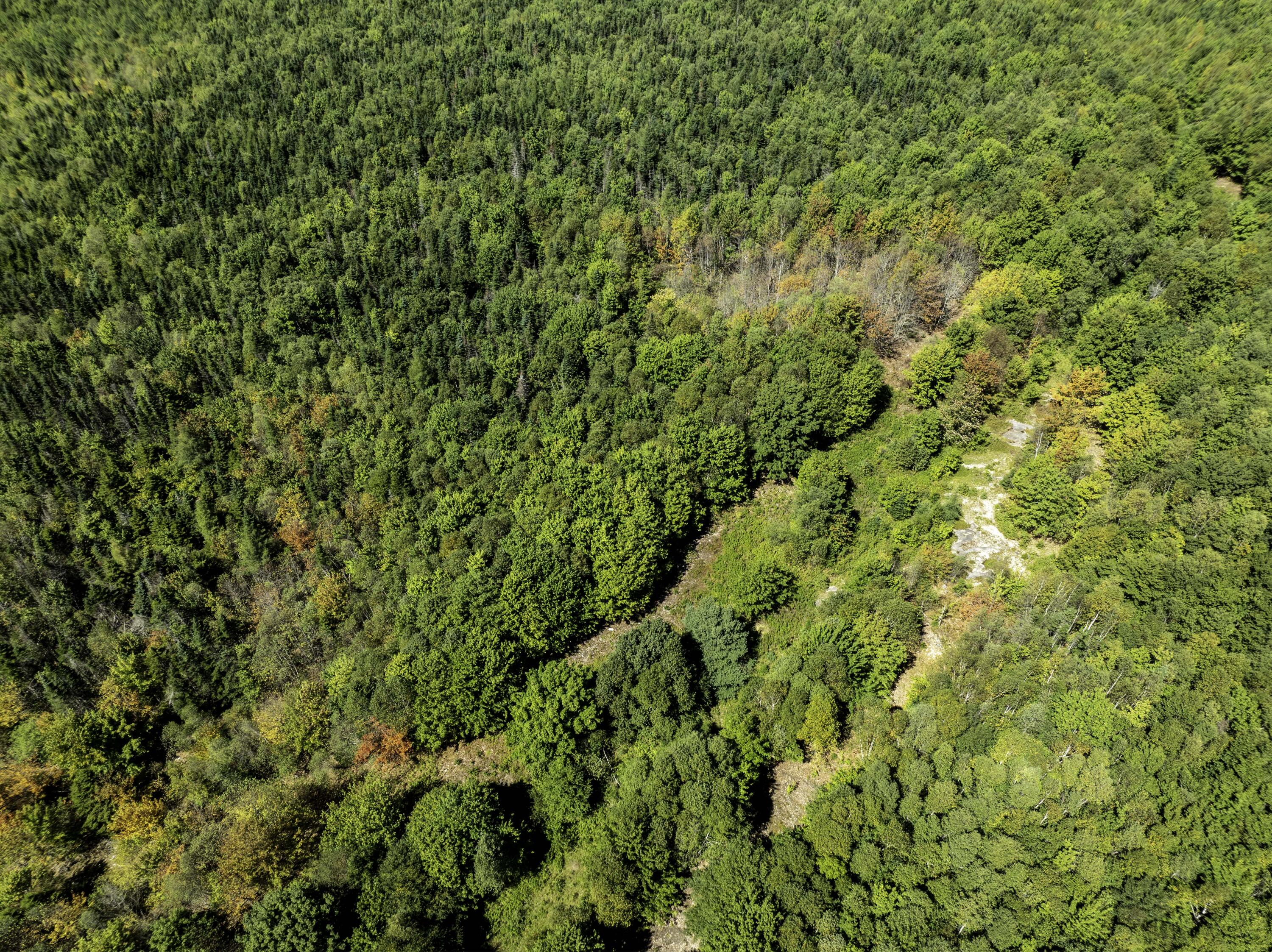 M7 L19 Old Crawford Road Cooper ME 04657