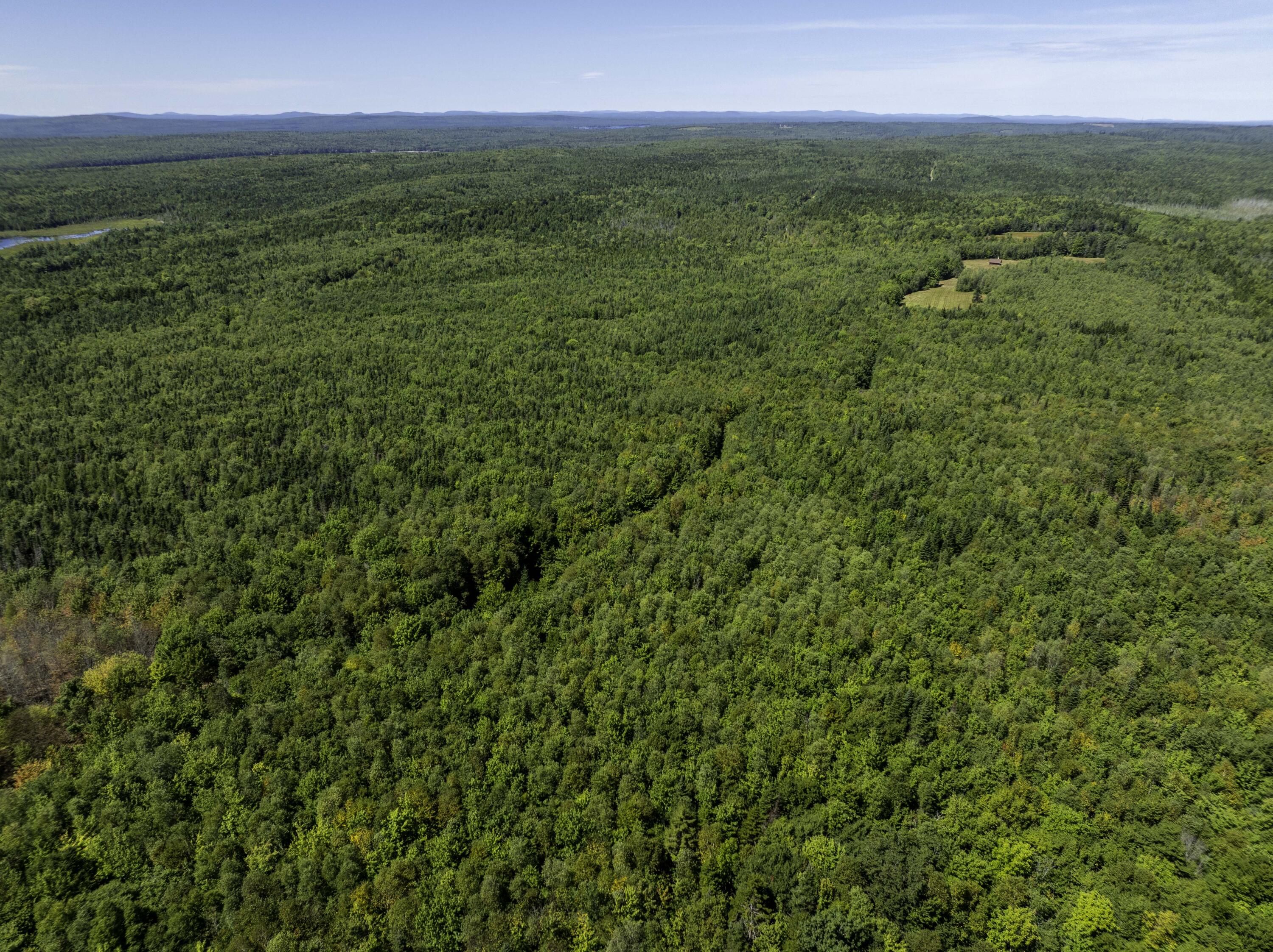 M7 L19 Old Crawford Road Cooper ME 04657