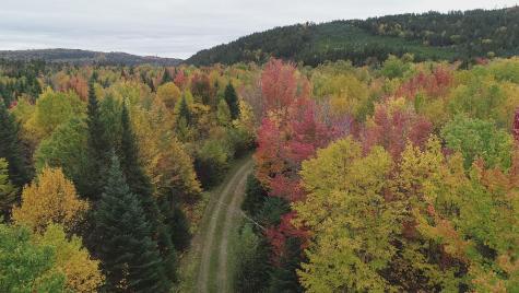 M2l18 Parmachenee Road Lynchtown Twp ME 04970