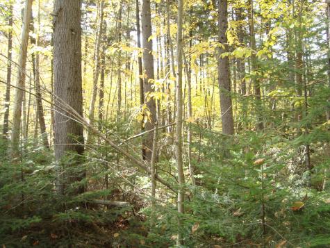 M2l18 Parmachenee Road Lynchtown Twp ME 04970