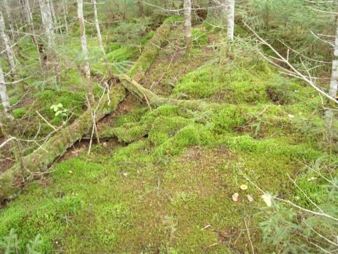 M2l18 Parmachenee Road Lynchtown Twp ME 04970