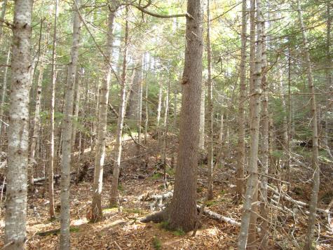 M2l18 Parmachenee Road Lynchtown Twp ME 04970