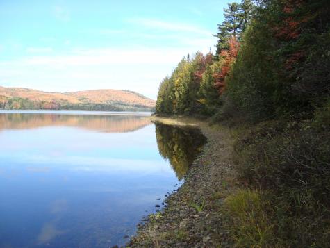 M2l18 Parmachenee Road Lynchtown Twp ME 04970