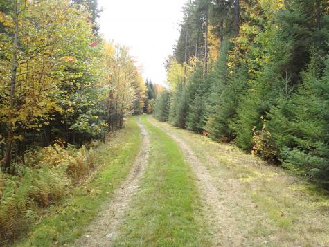 M2l18 Parmachenee Road Lynchtown Twp ME 04970