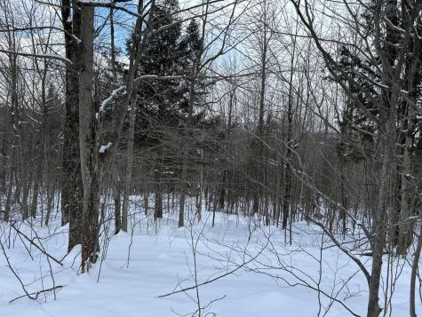 MR14L14 Poland Hill Road Livermore ME 04253