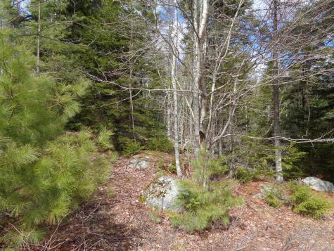 Lot 10 Bailey Mountain Road Franklin ME 04634