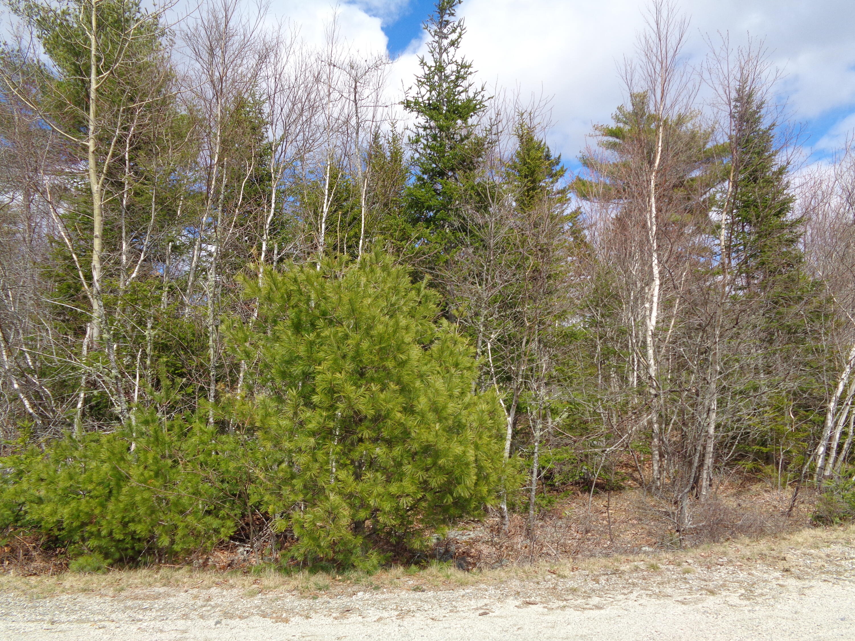 Lot 10 Bailey Mountain Road Franklin ME 04634