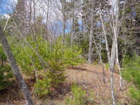 Lot 10 Bailey Mountain Road Franklin ME 04634