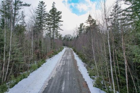 Lot 11 Kennel Brook Drive Lamoine ME 04605