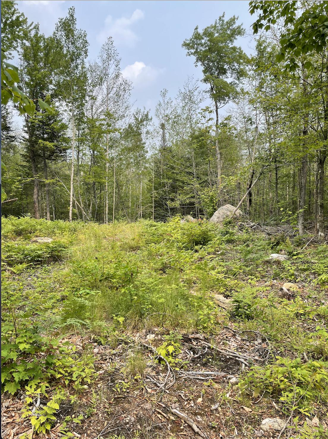 475 Redding Road Sumner ME 04292