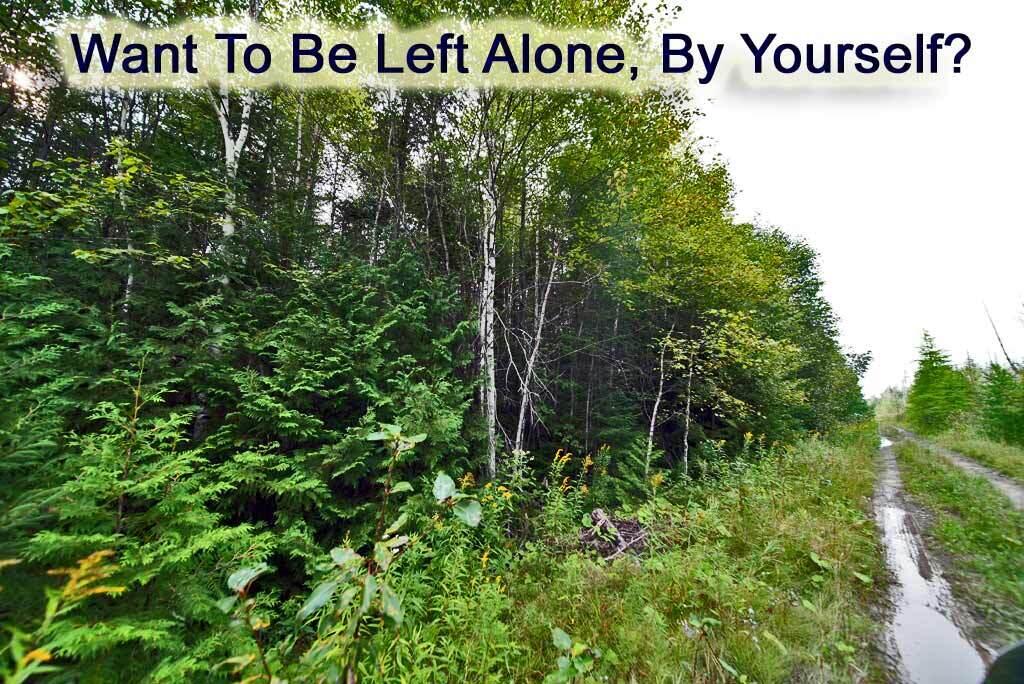 Lot 7 Off Pulcifer Road Mapleton ME 04757