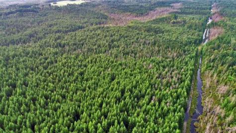Lot 7 Off Pulcifer Road Mapleton ME 04757