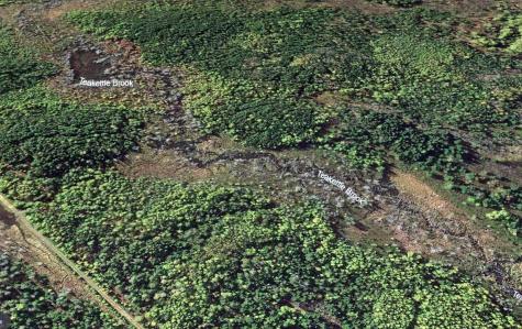 Lot 7 Off Pulcifer Road Mapleton ME 04757