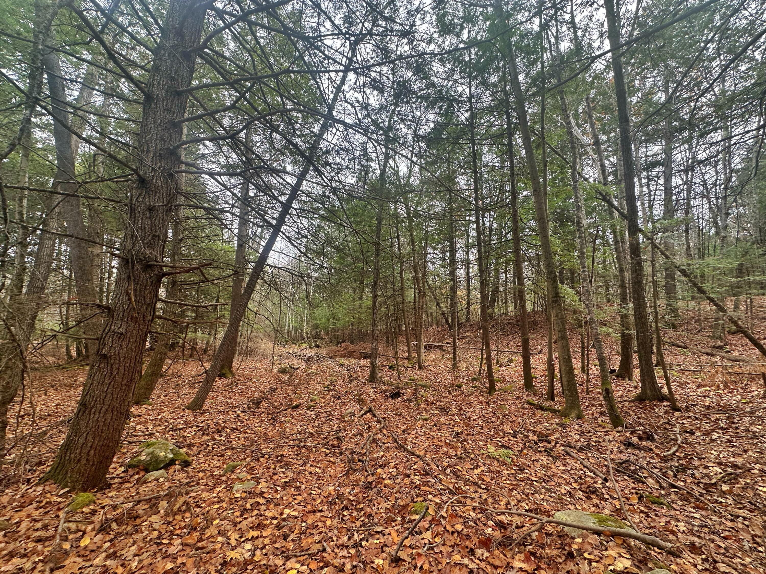 42 Dyer Road Lewiston ME 04240