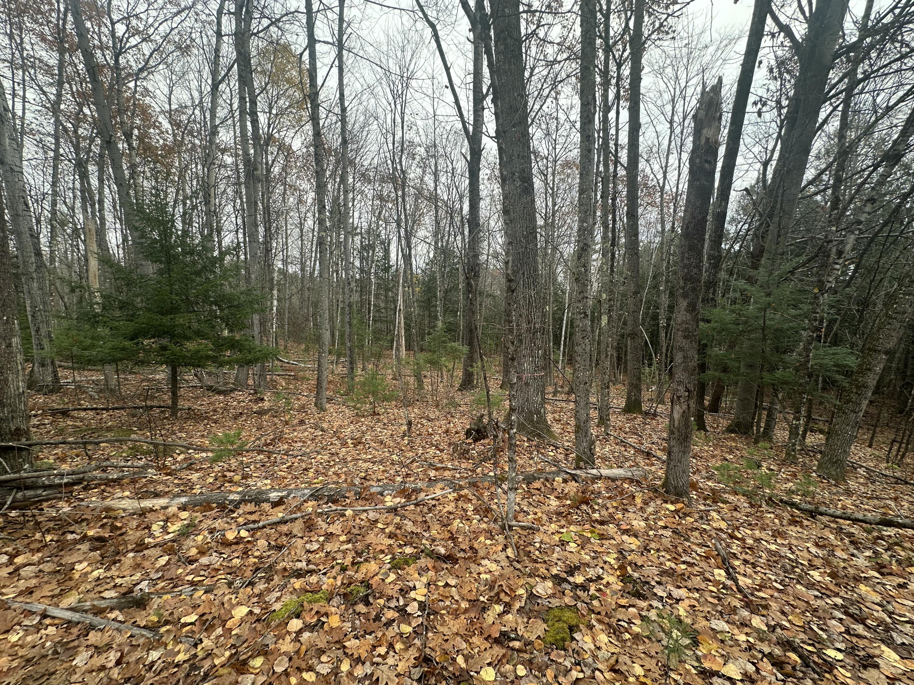 42 Dyer Road Lewiston ME 04240